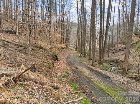 2701 Roses Branch Road Bakersville NC 28705