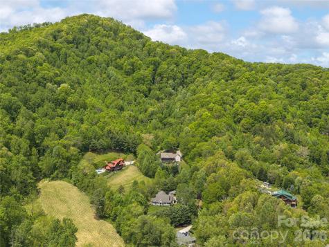 224 Hydrangea Drive Waynesville NC 28785