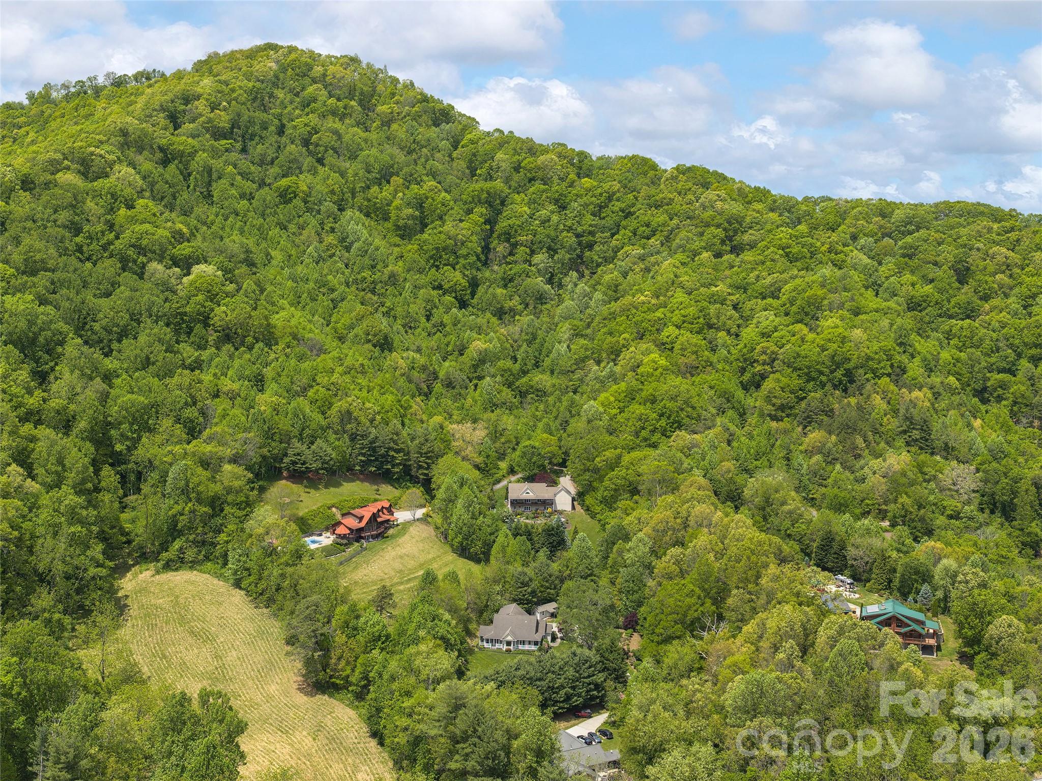 224 Hydrangea Drive Waynesville NC 28785