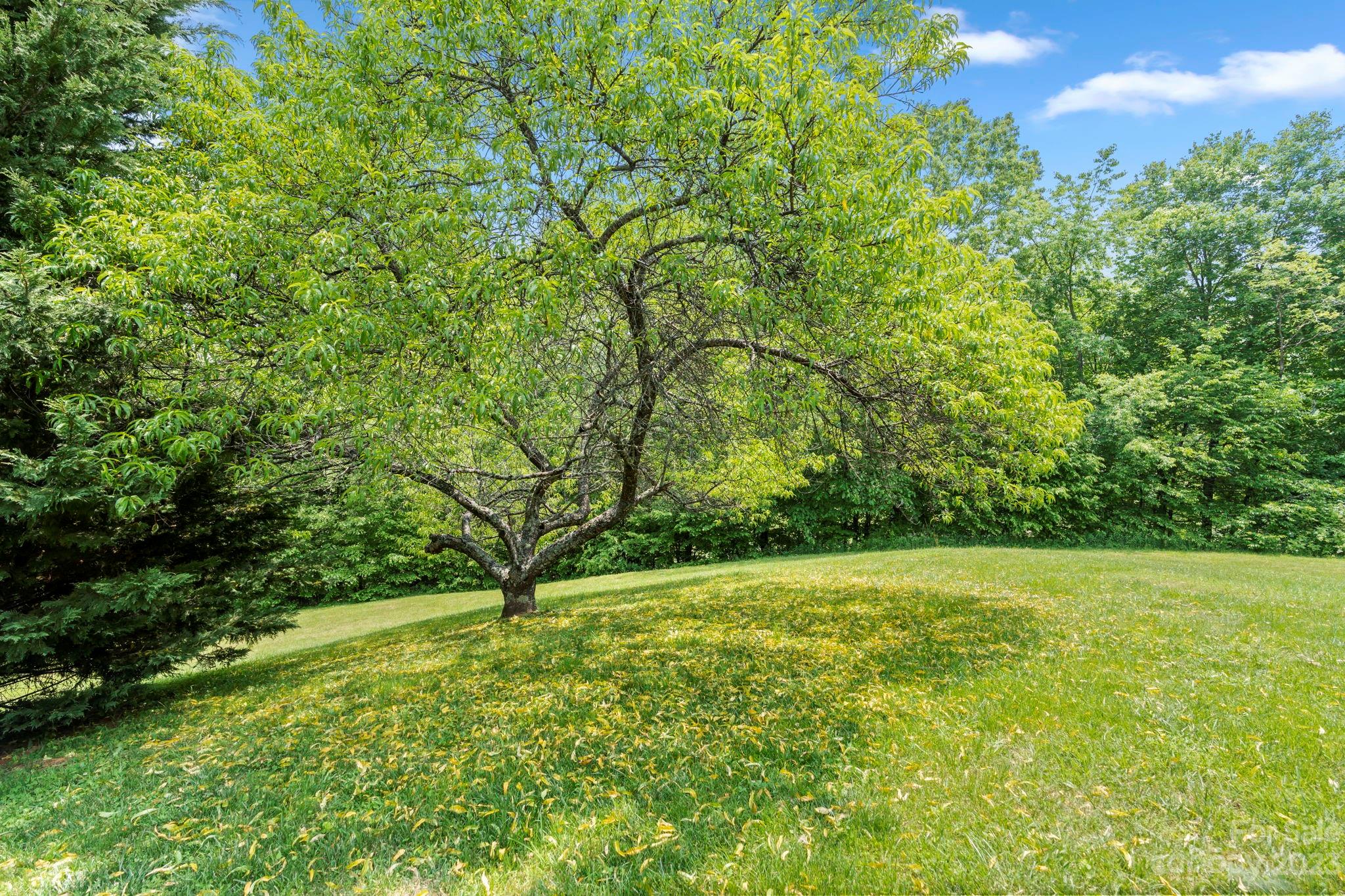 41 Fox Den Drive Burnsville NC 28714