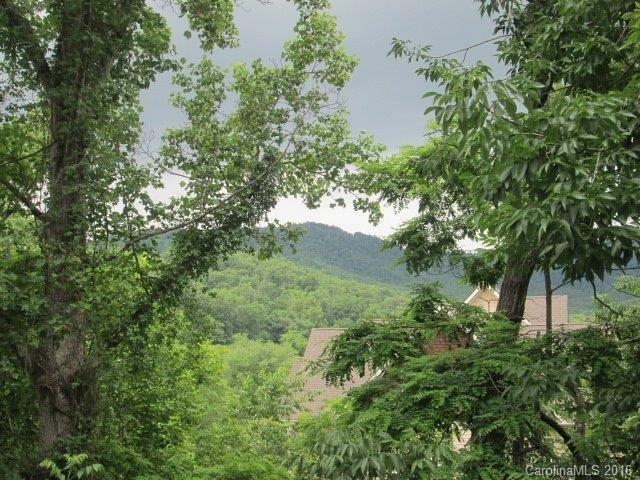111 Ben Nevis Court Asheville NC 28803