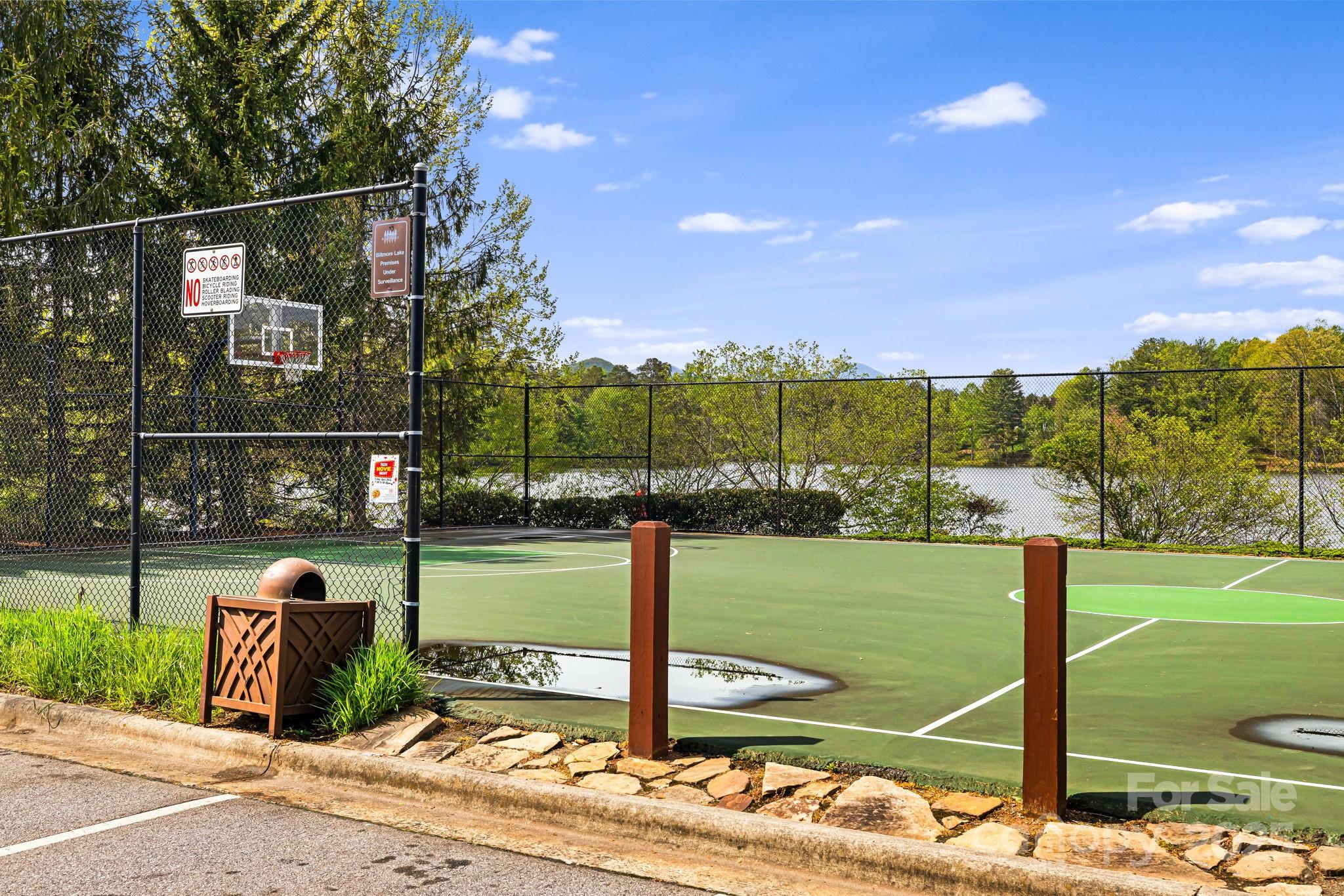 14 Larue Court Biltmore Lake NC 28715