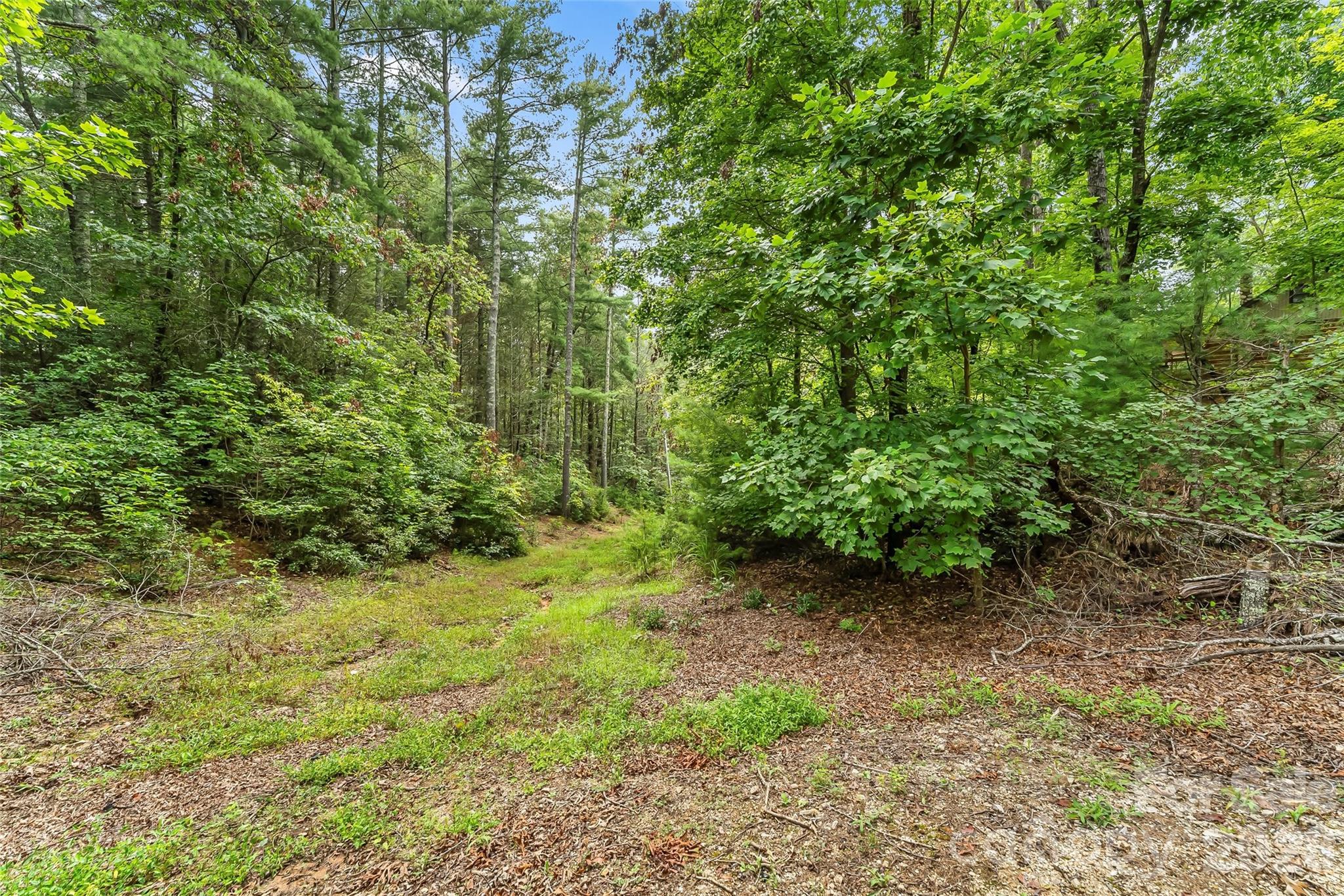 653 Lakeview Drive N Marion NC 28752