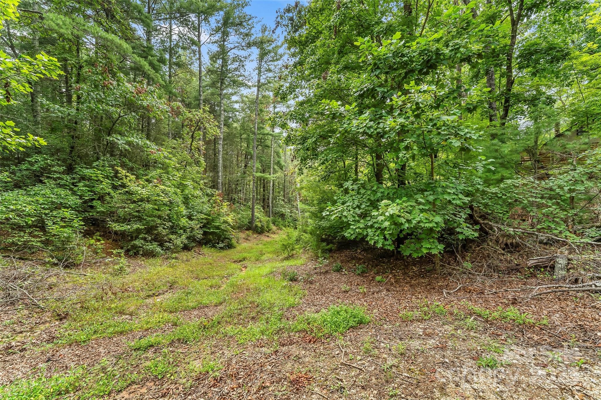 653 Lakeview Drive N Marion NC 28752