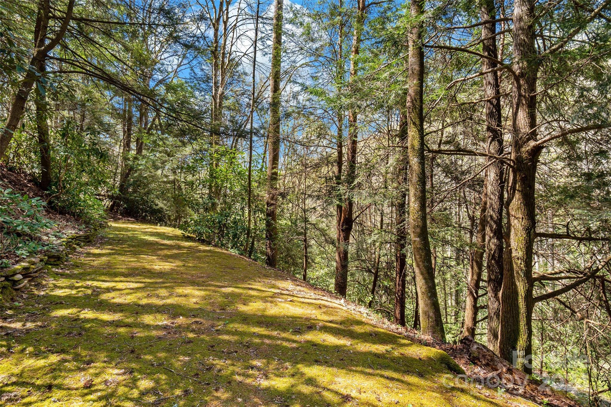 24 Black Oak Forest Road Fairview NC 28730