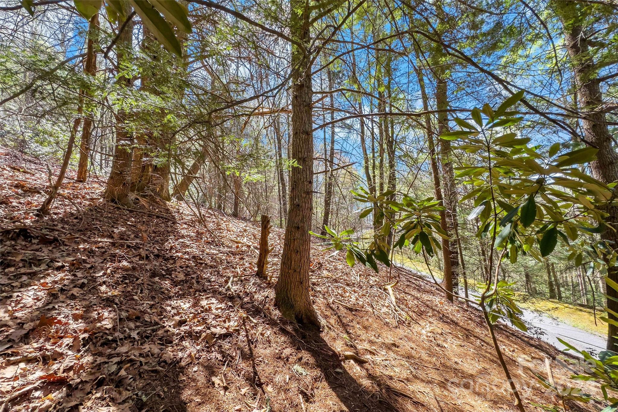 24 Black Oak Forest Road Fairview NC 28730