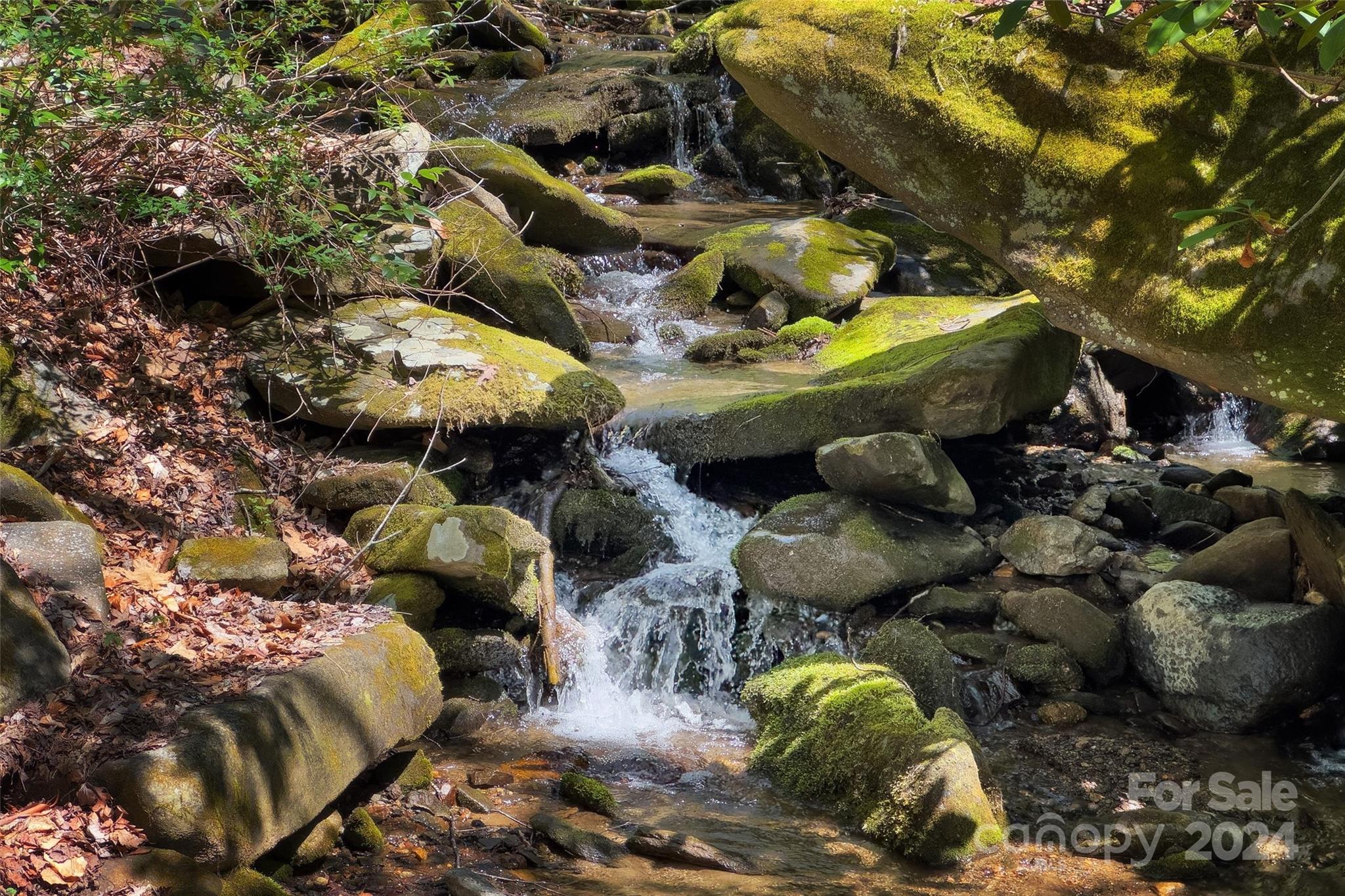 24 Black Oak Forest Road Fairview NC 28730