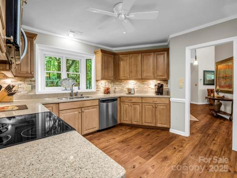 193 Downing Place Lake Lure NC 28746