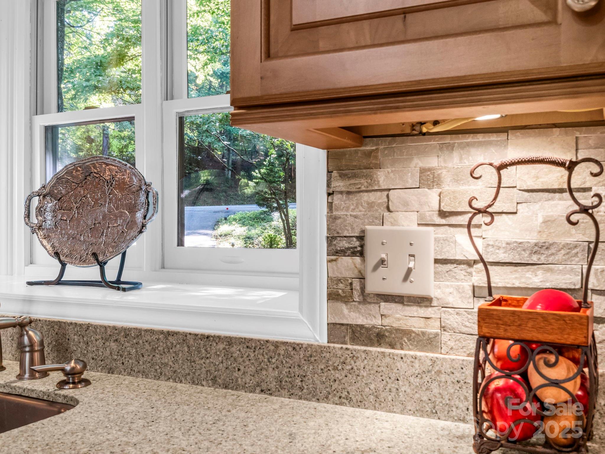 193 Downing Place Lake Lure NC 28746