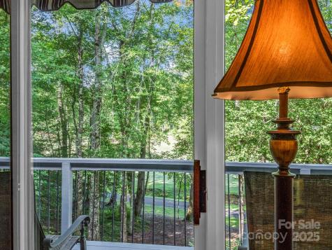 193 Downing Place Lake Lure NC 28746