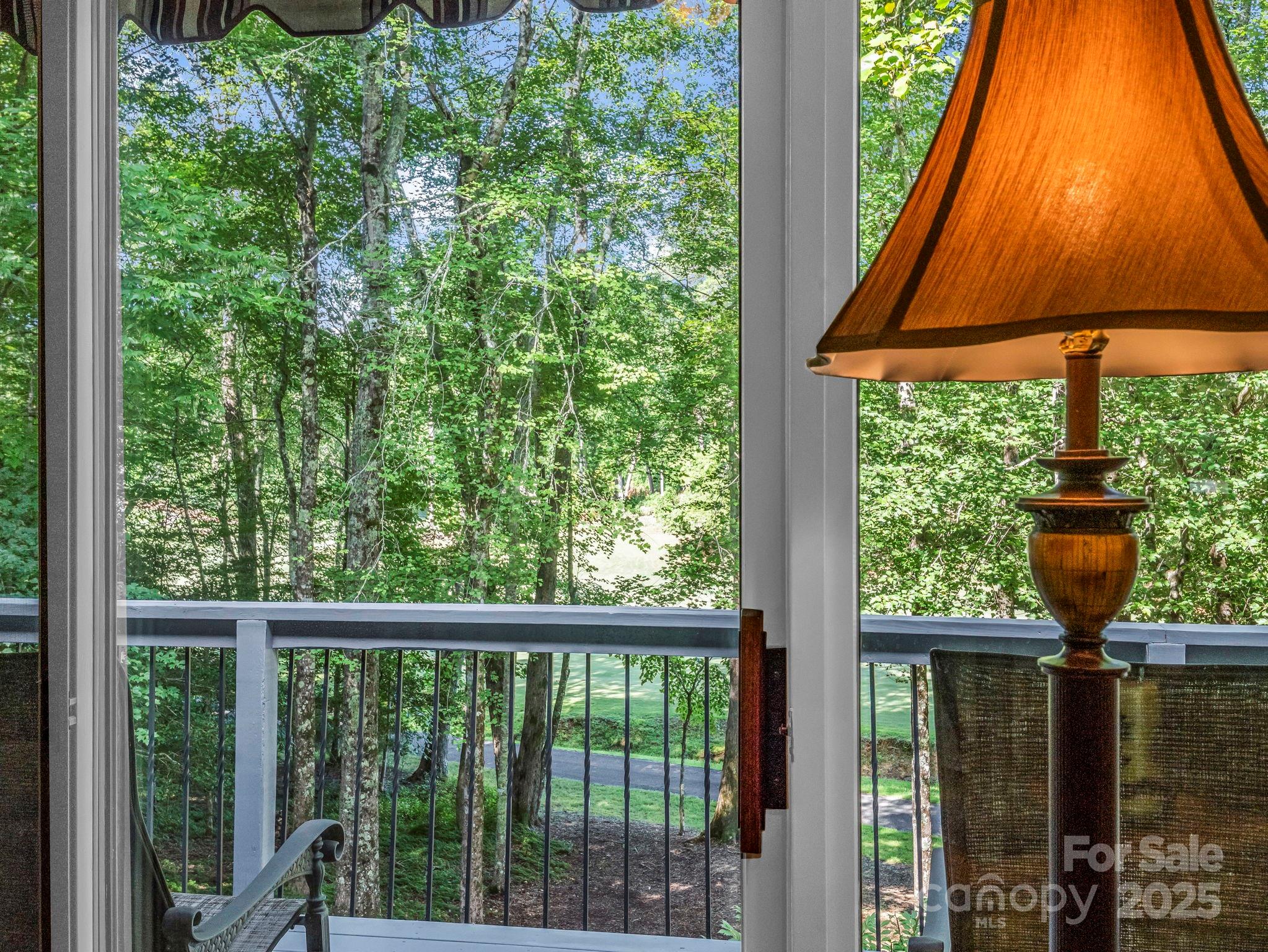 193 Downing Place Lake Lure NC 28746