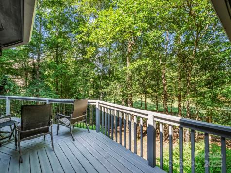 193 Downing Place Lake Lure NC 28746