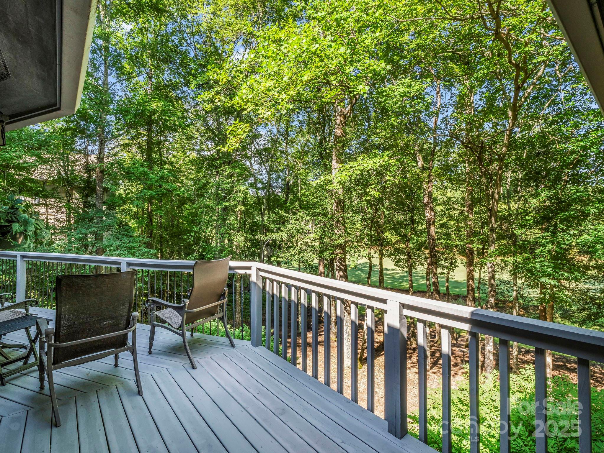193 Downing Place Lake Lure NC 28746