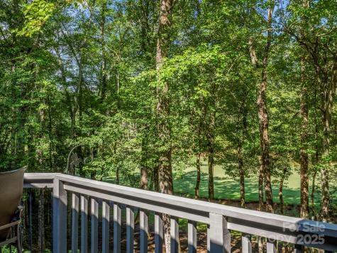 193 Downing Place Lake Lure NC 28746