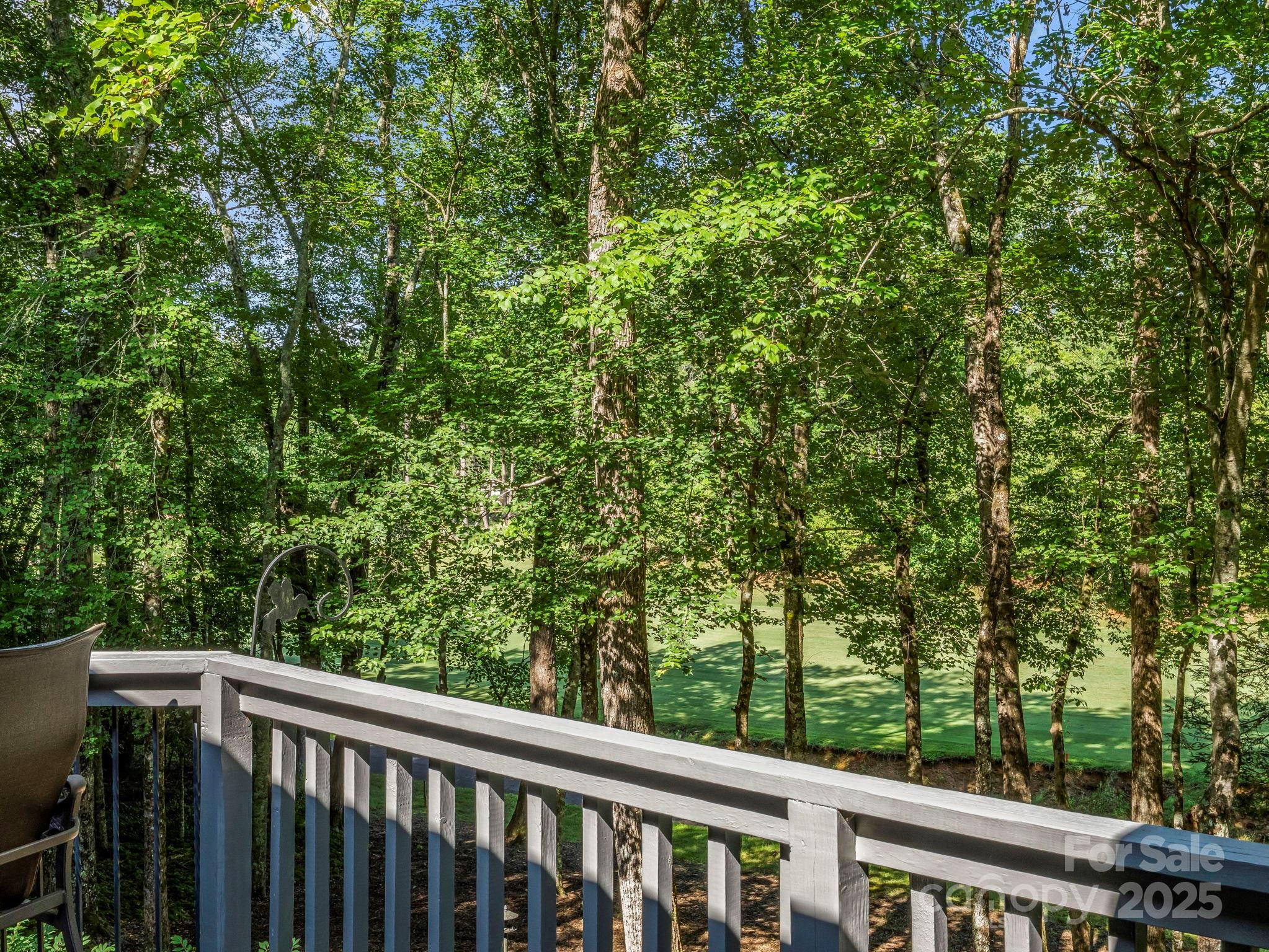 193 Downing Place Lake Lure NC 28746