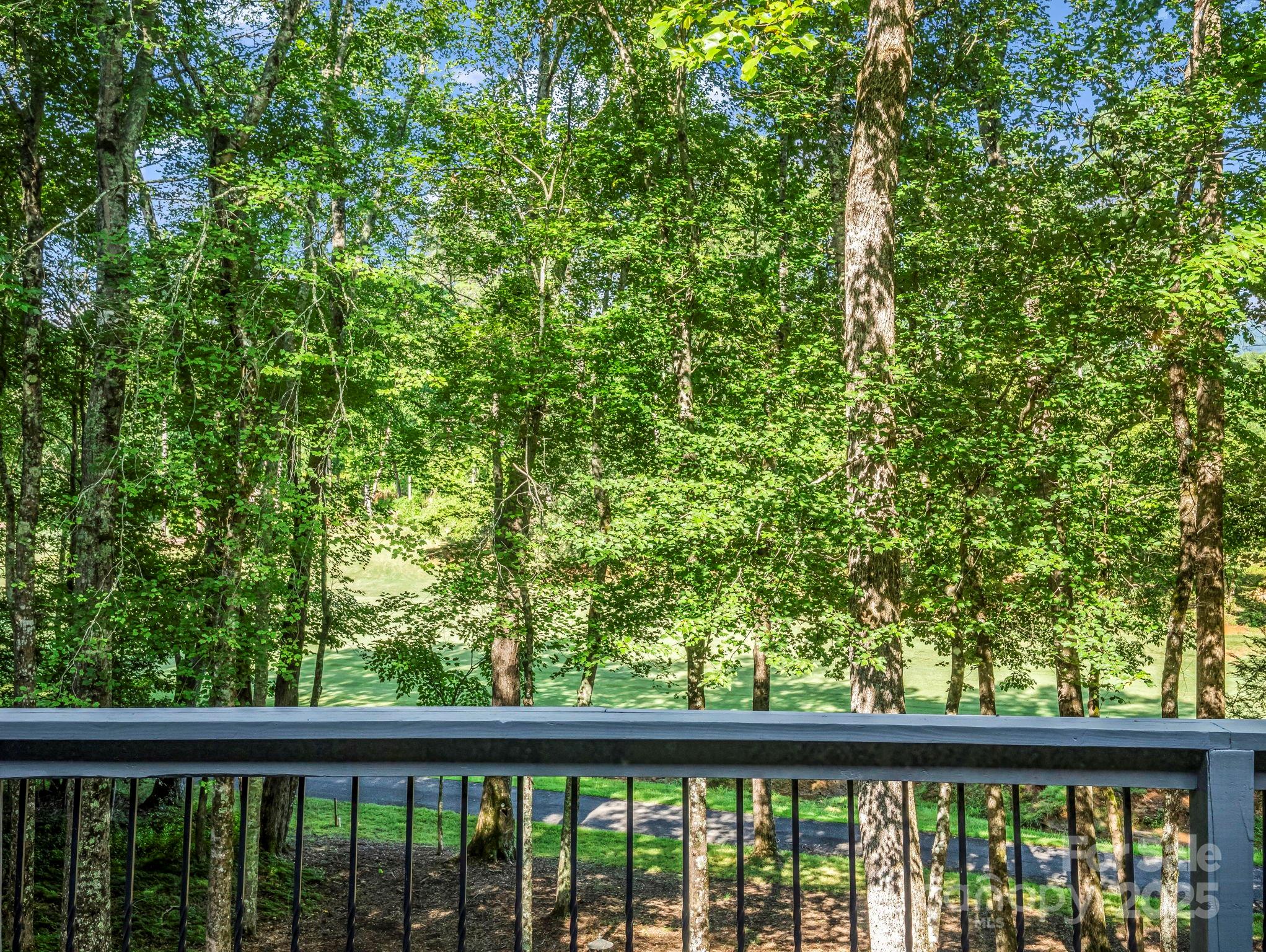 193 Downing Place Lake Lure NC 28746