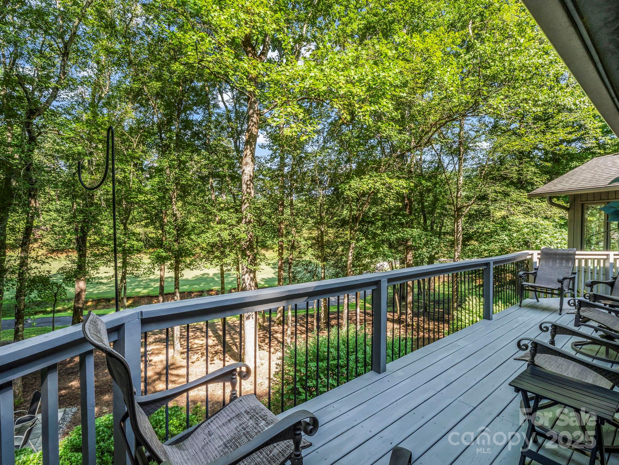 193 Downing Place Lake Lure NC 28746