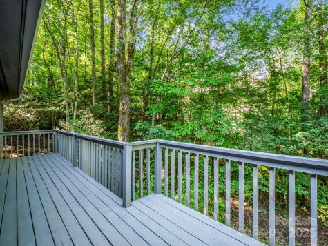 193 Downing Place Lake Lure NC 28746
