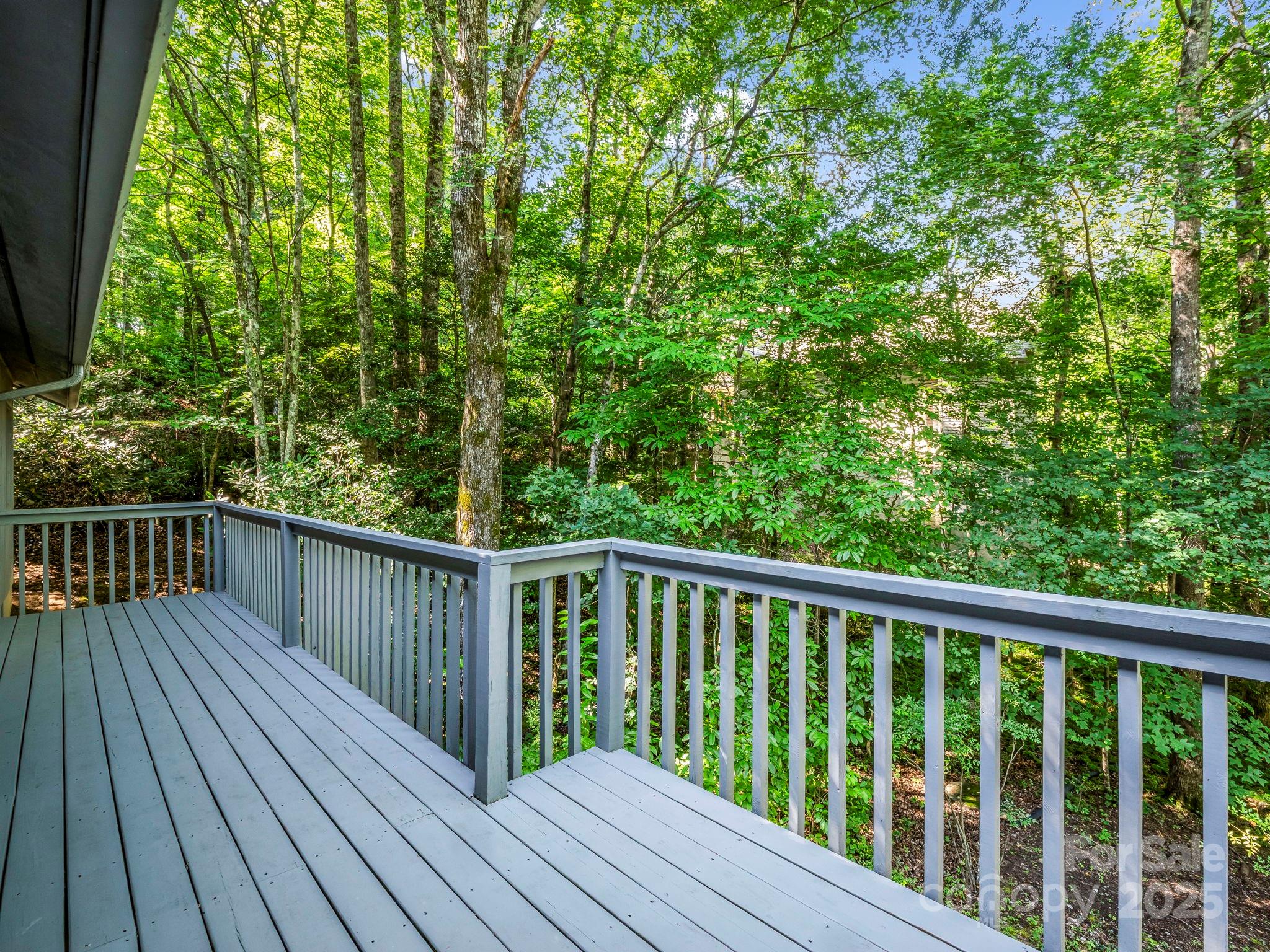 193 Downing Place Lake Lure NC 28746