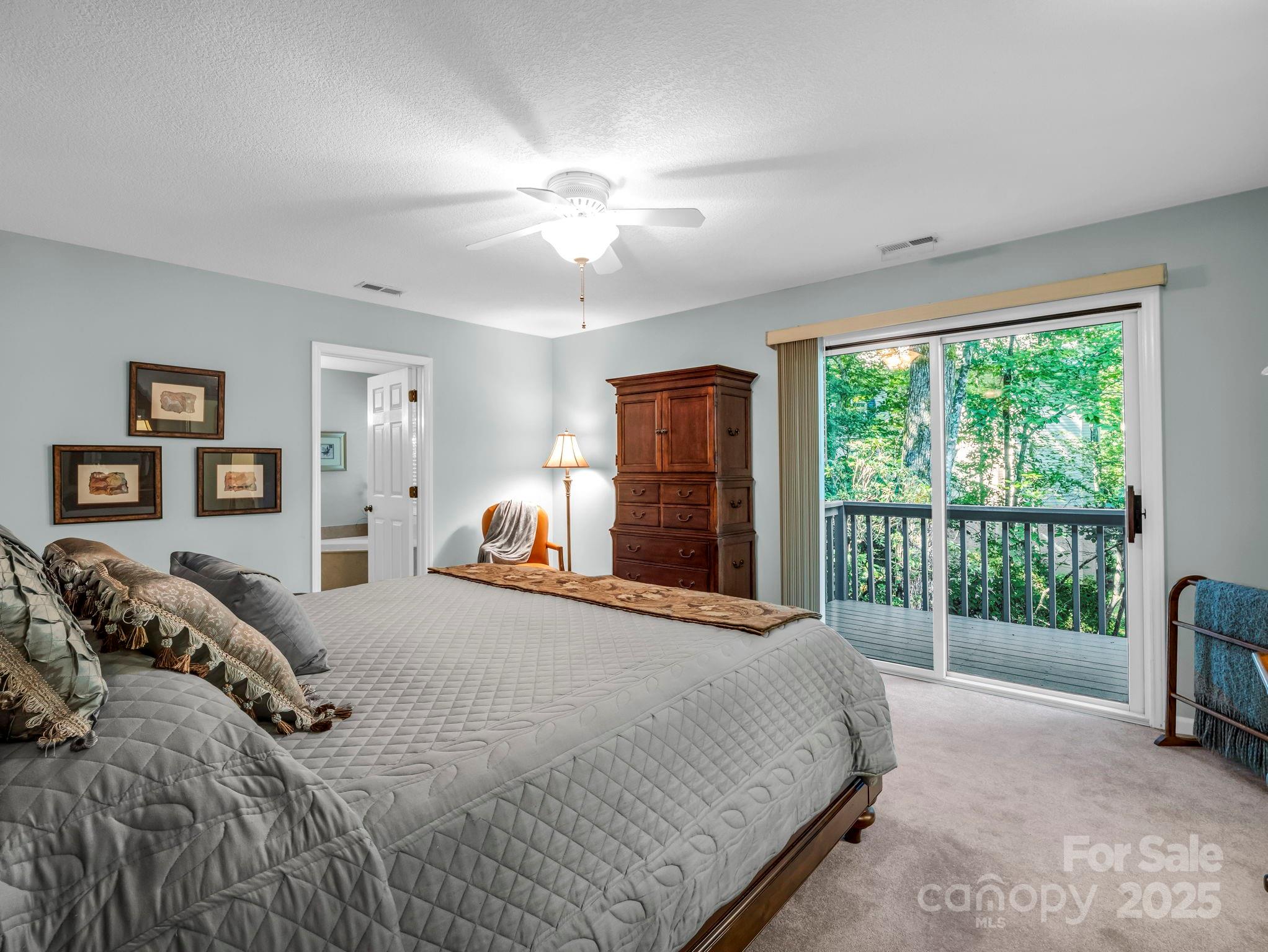 193 Downing Place Lake Lure NC 28746