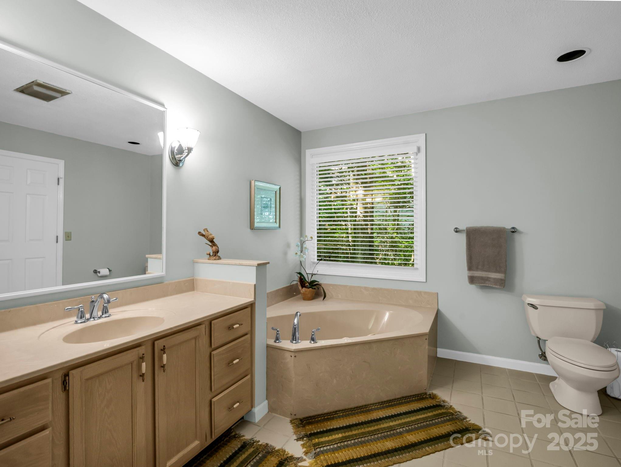 193 Downing Place Lake Lure NC 28746