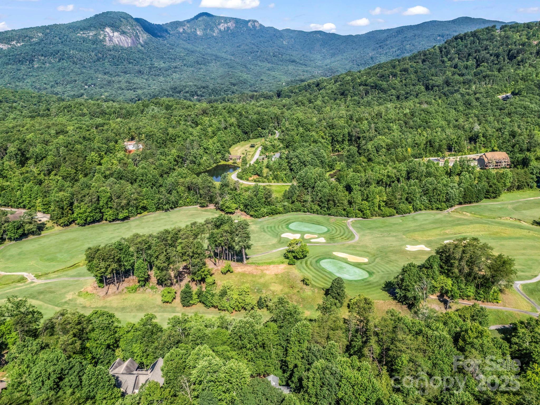 193 Downing Place Lake Lure NC 28746