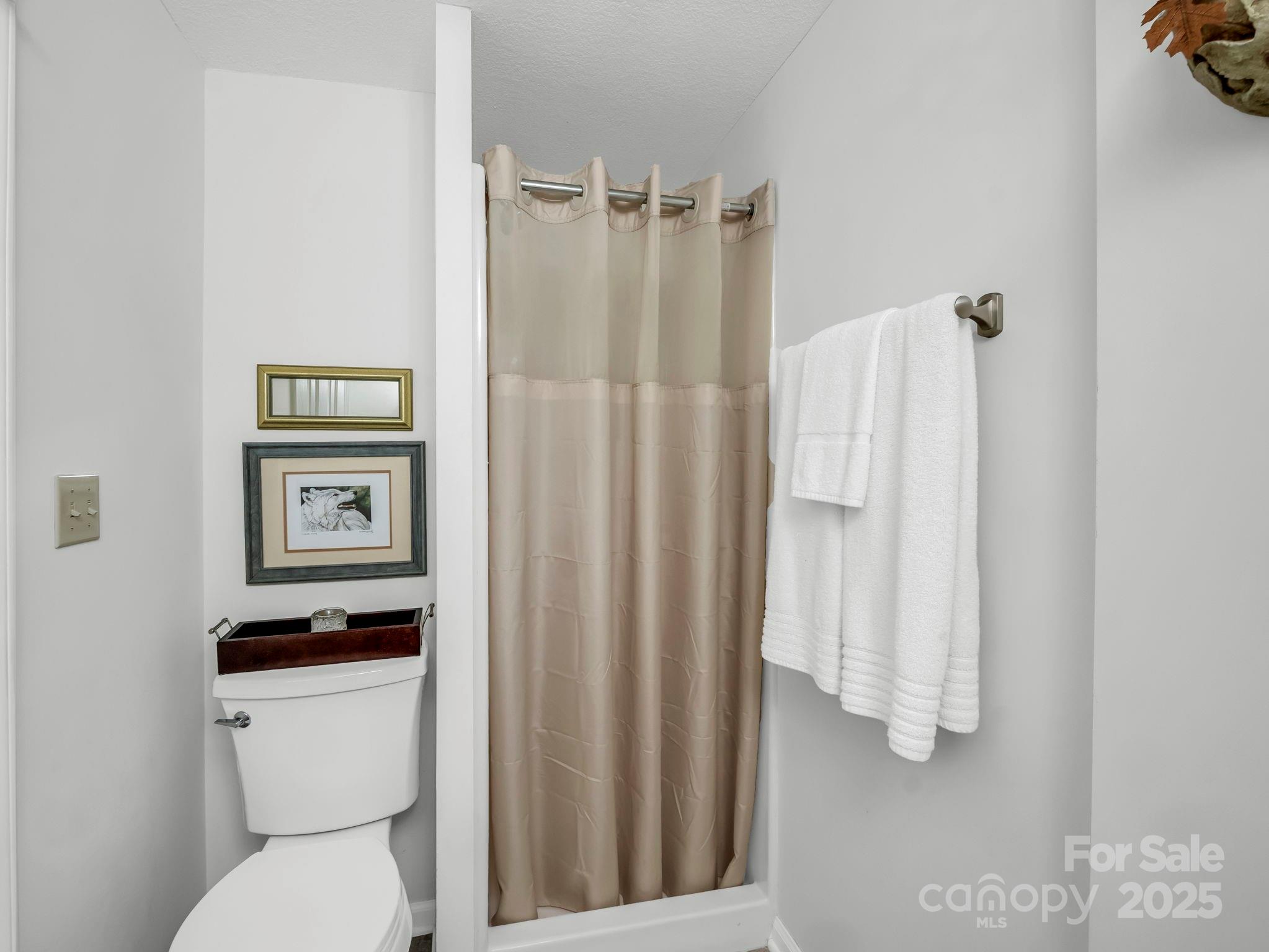 193 Downing Place Lake Lure NC 28746