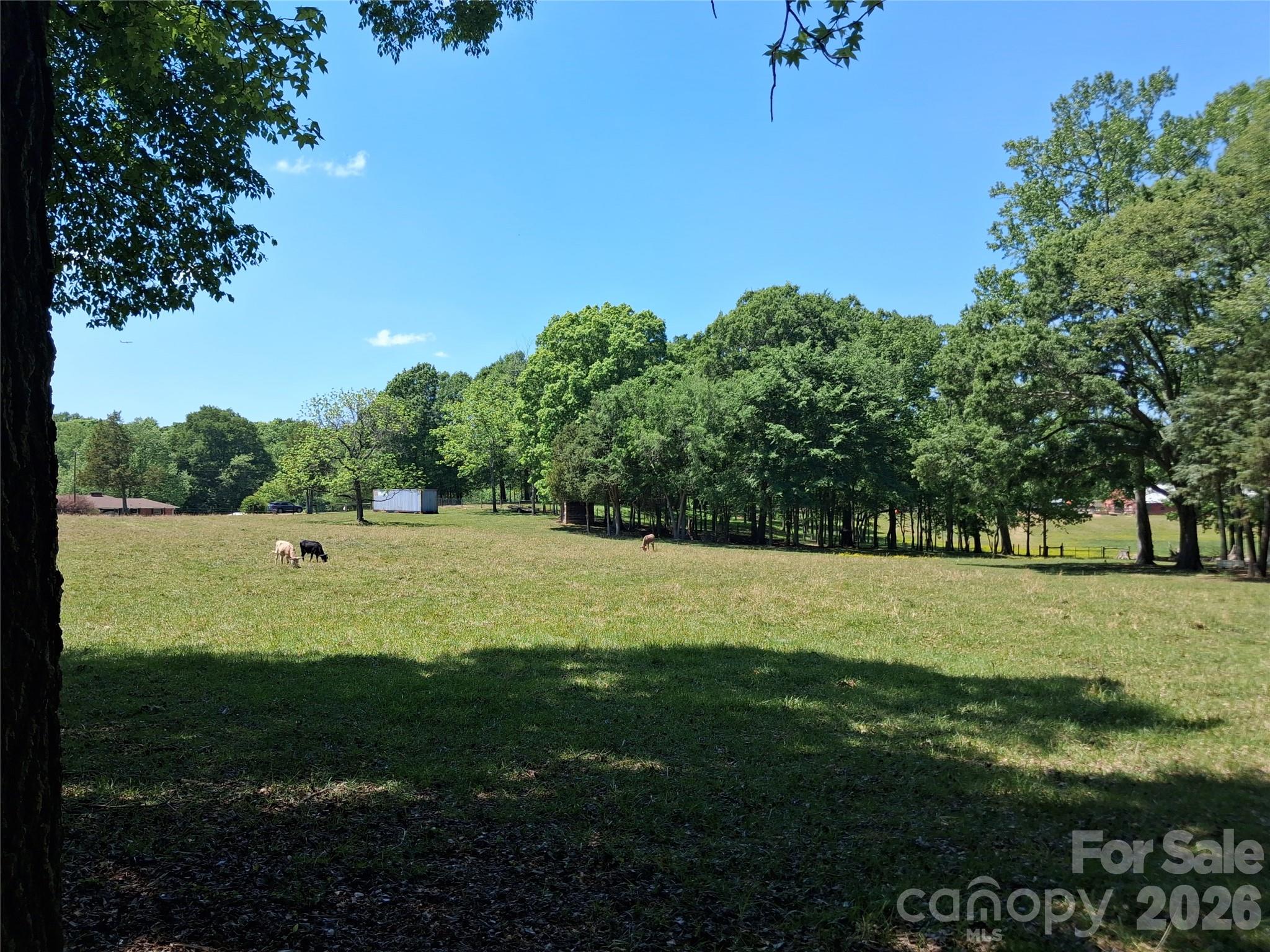 207 Woodlynn Drive Charlotte NC 28214