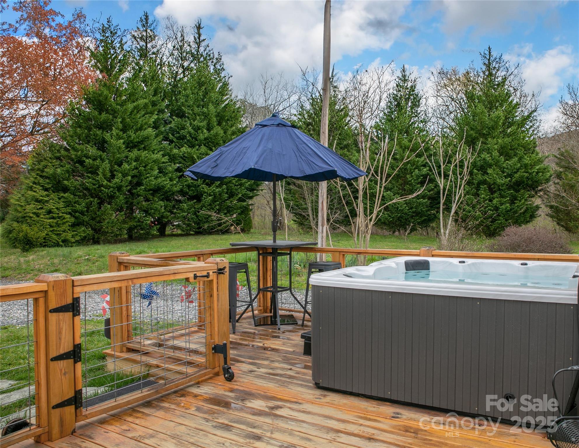 626 Fairview Loop Hot Springs NC 28743