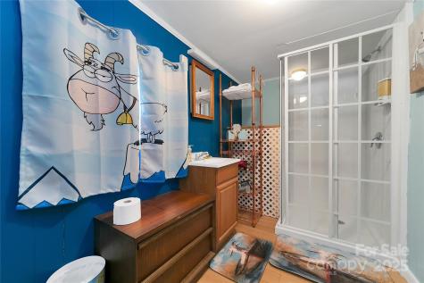 626 Fairview Loop Hot Springs NC 28743