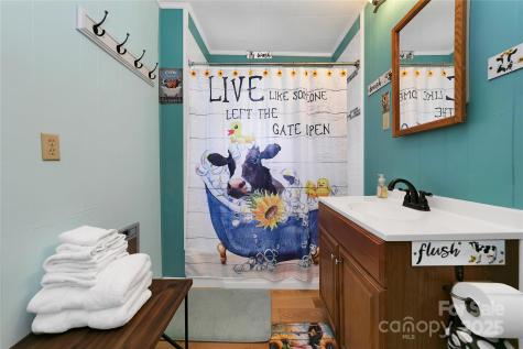 626 Fairview Loop Hot Springs NC 28743
