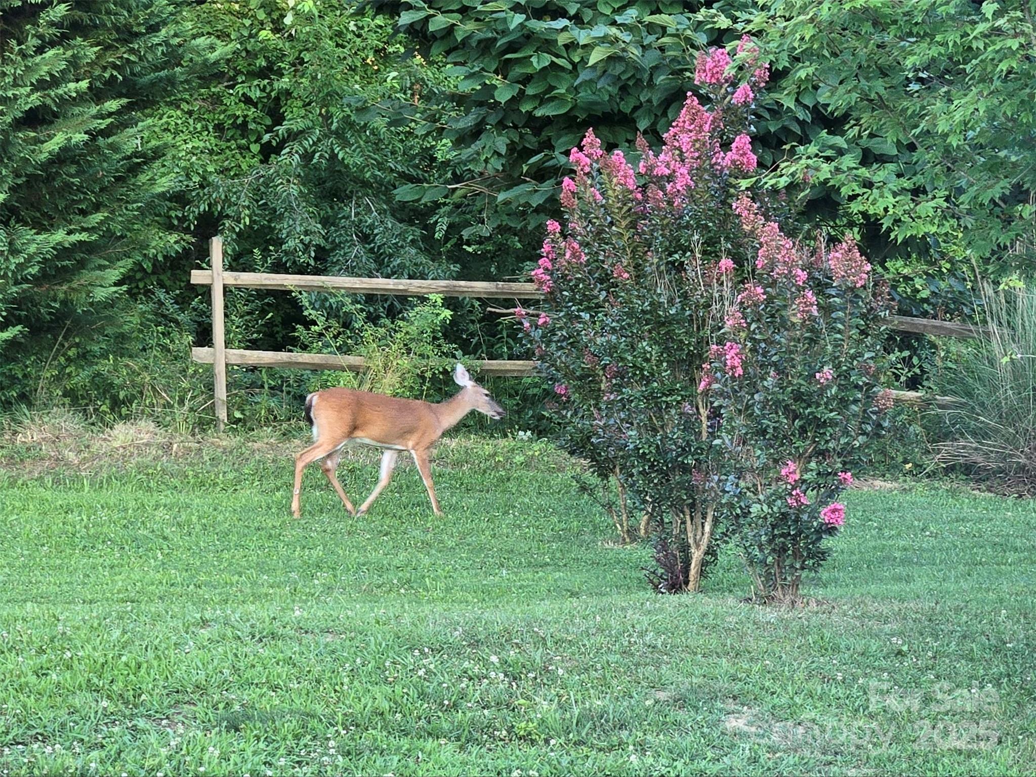626 Fairview Loop Hot Springs NC 28743