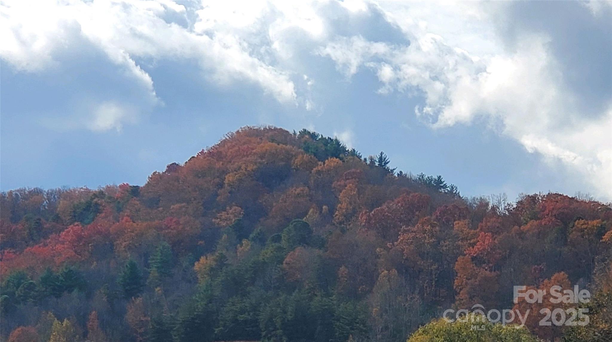 626 Fairview Loop Hot Springs NC 28743