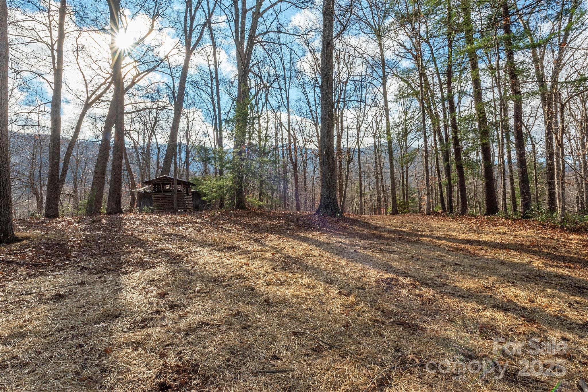 332 Richmond Avenue Swannanoa NC 28778