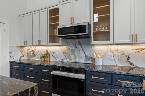 55 Timber Moss Drive Asheville NC 28804