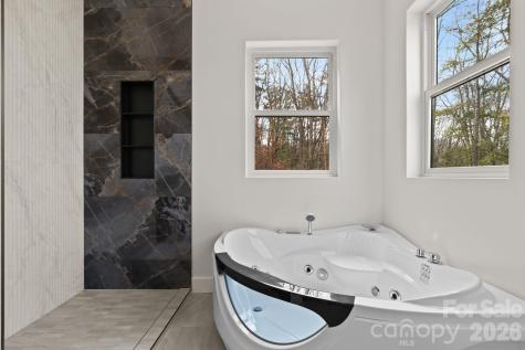 55 Timber Moss Drive Asheville NC 28804