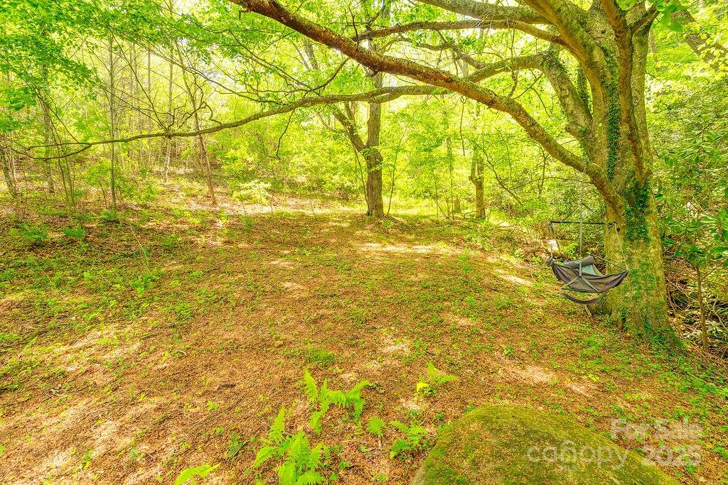 2102 Walnut Creek Road Marshall NC 28753