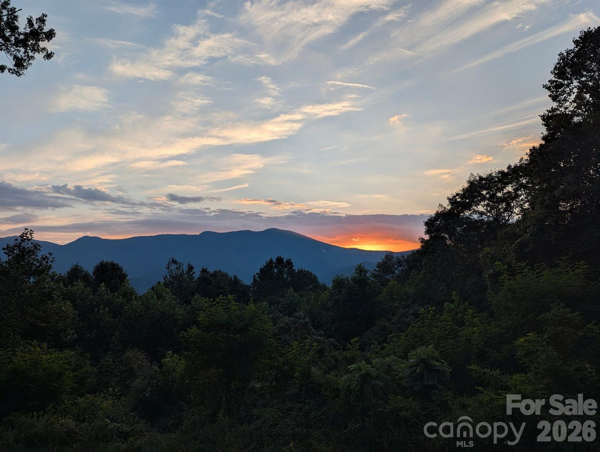 1856 Cabbage Patch Road Burnsville NC 28714