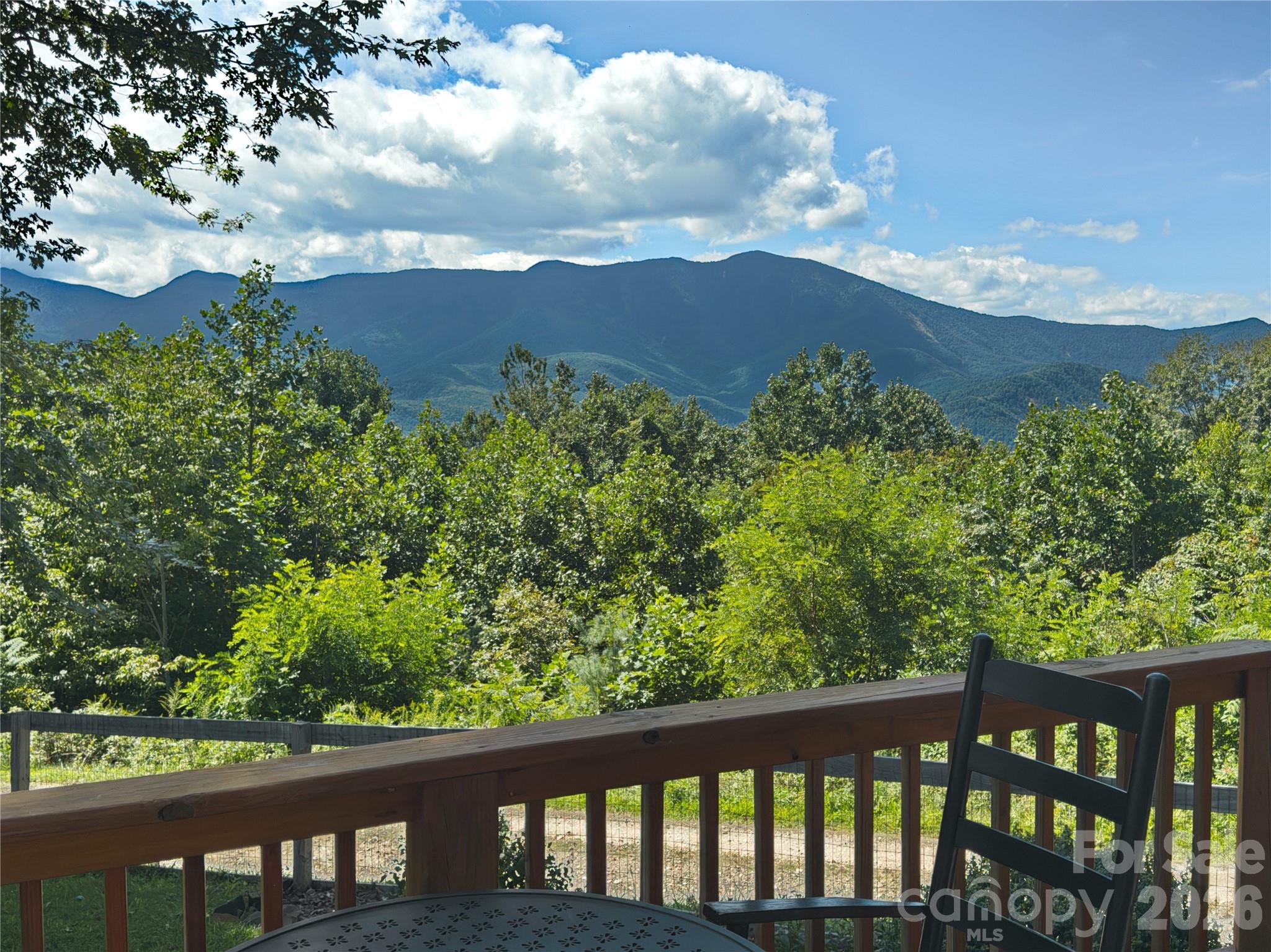 1856 Cabbage Patch Road Burnsville NC 28714