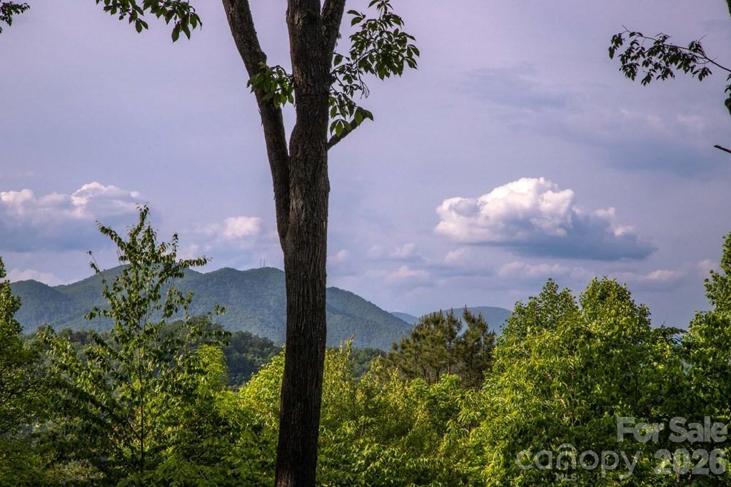 339 Honey Locust Trail Whittier NC 28789