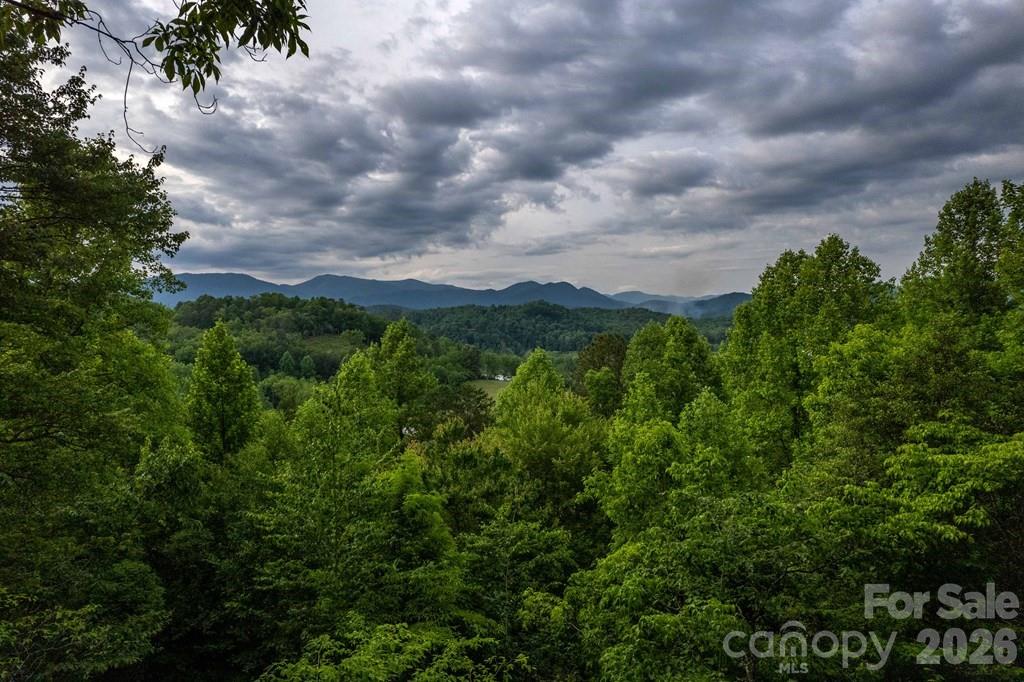 339 Honey Locust Trail Whittier NC 28789