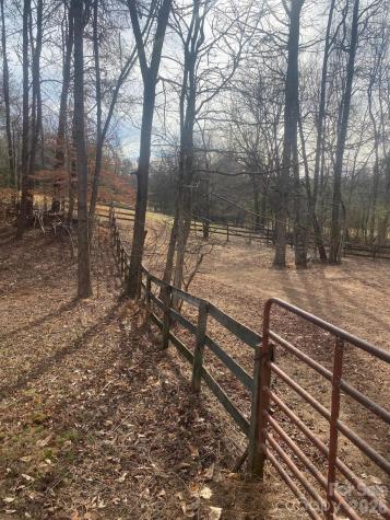 3205 Collinsville Road Columbus NC 28722