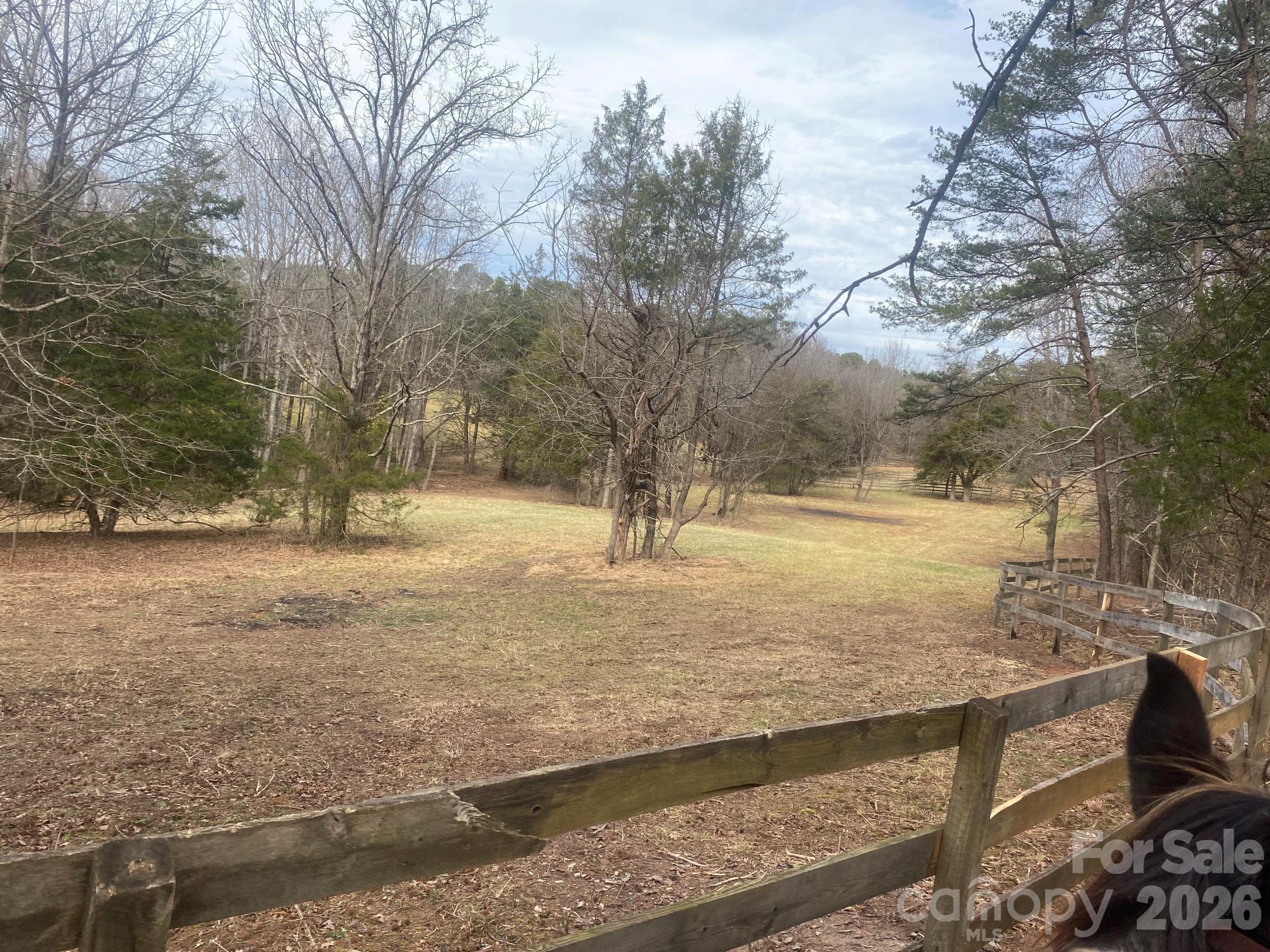 3205 Collinsville Road Columbus NC 28722