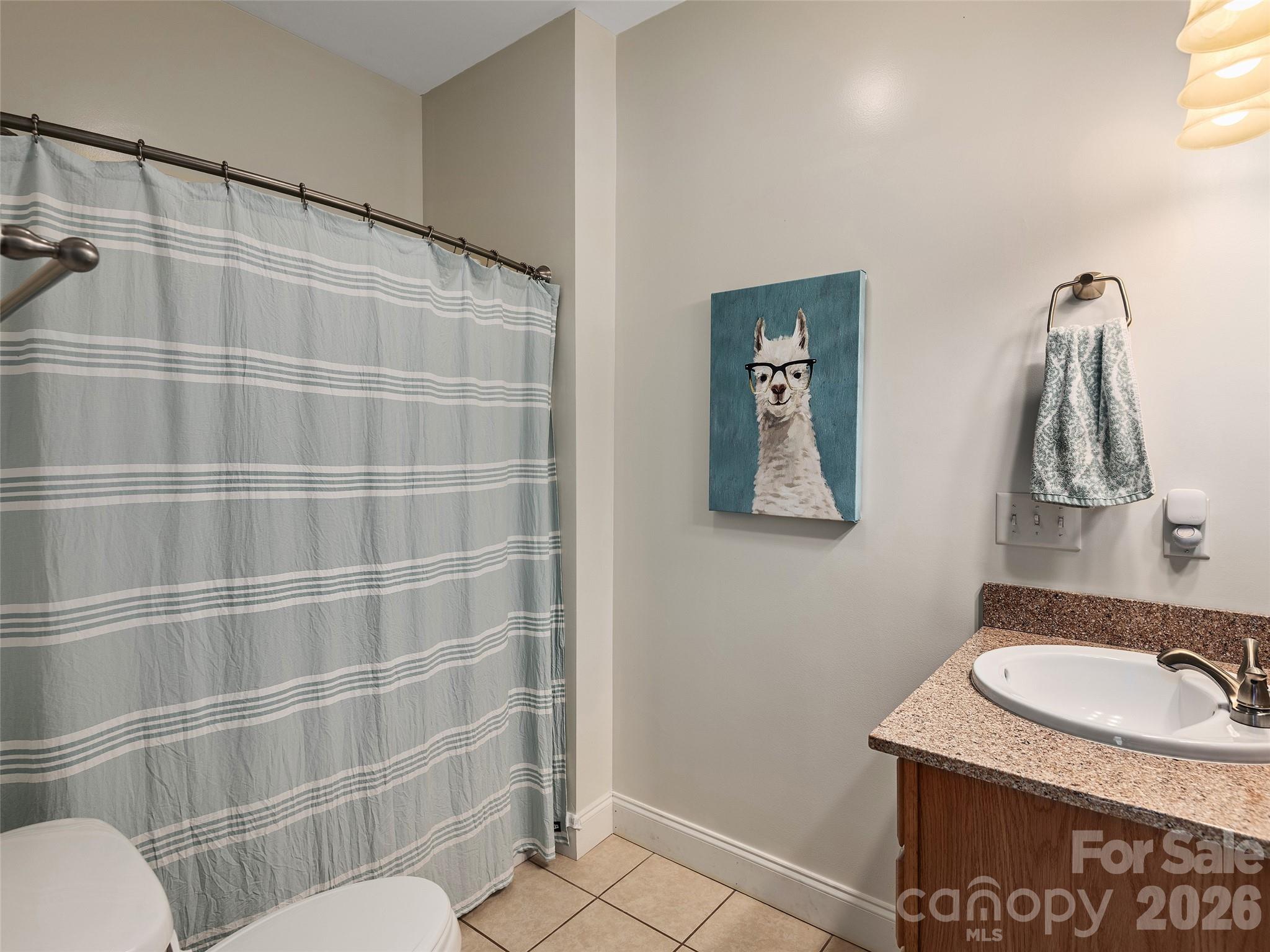 26 Lancaster Lane Weaverville NC 28787
