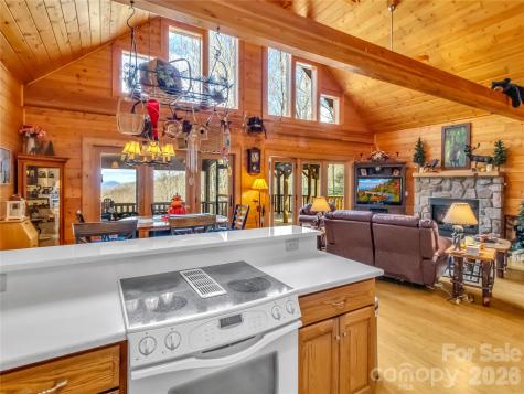 1664 Tawodi Trail Maggie Valley NC 28751