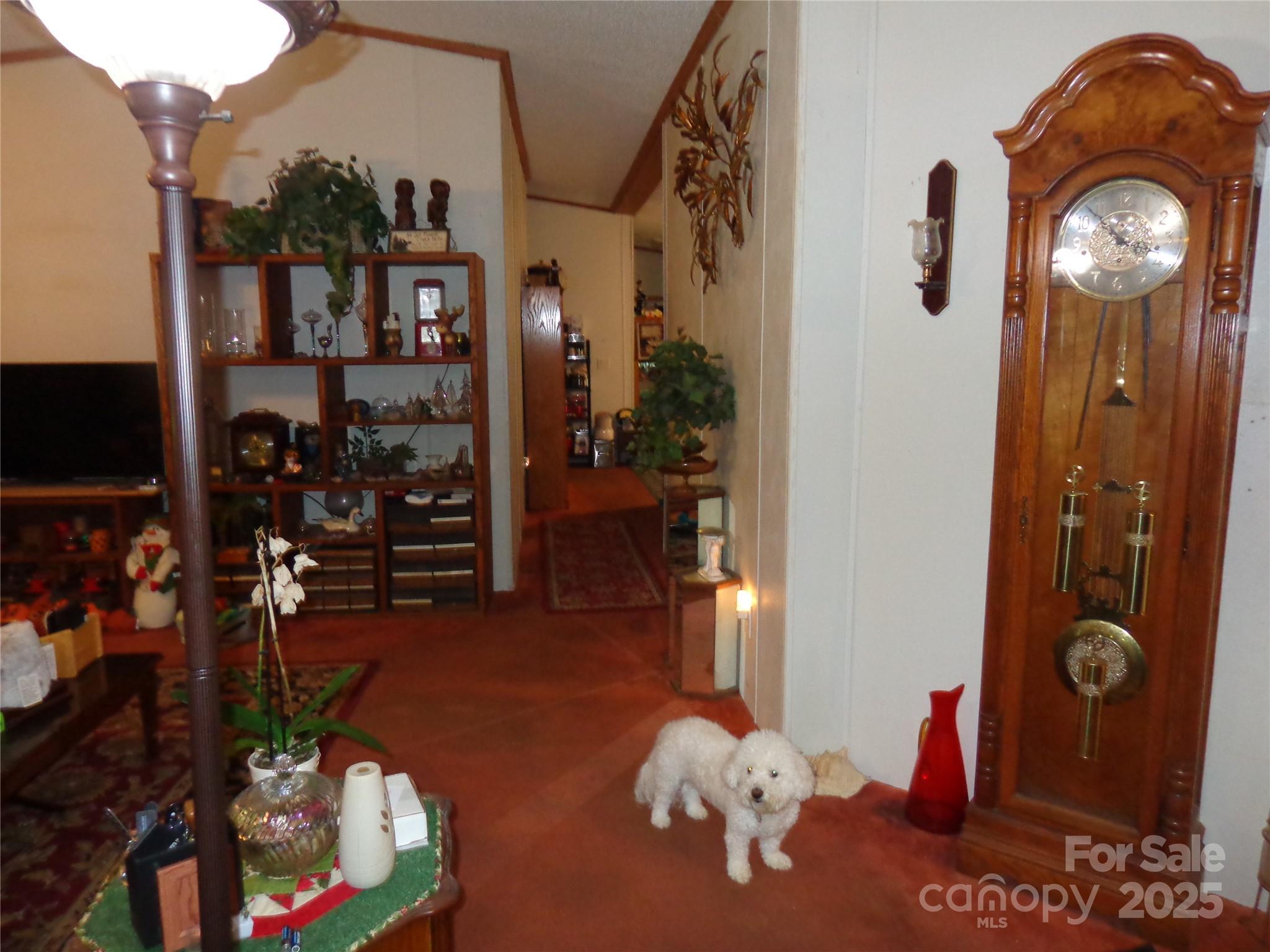 89 Blue Mountain Road Fairview NC 28730