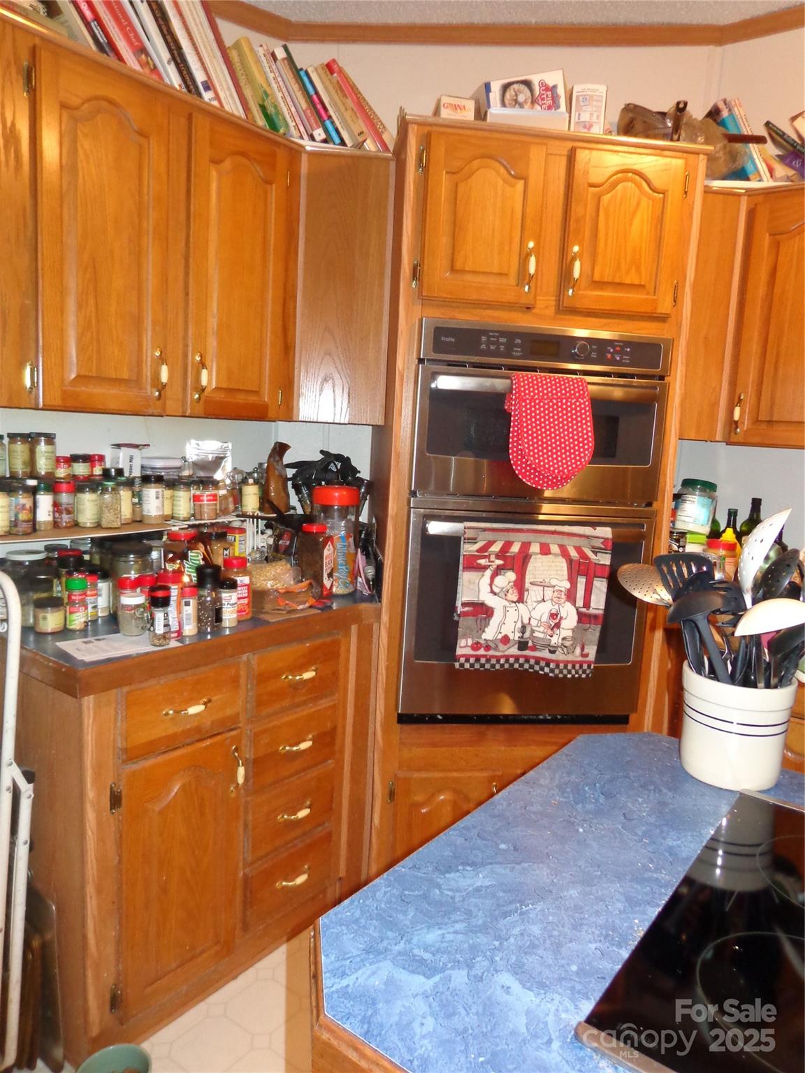 89 Blue Mountain Road Fairview NC 28730