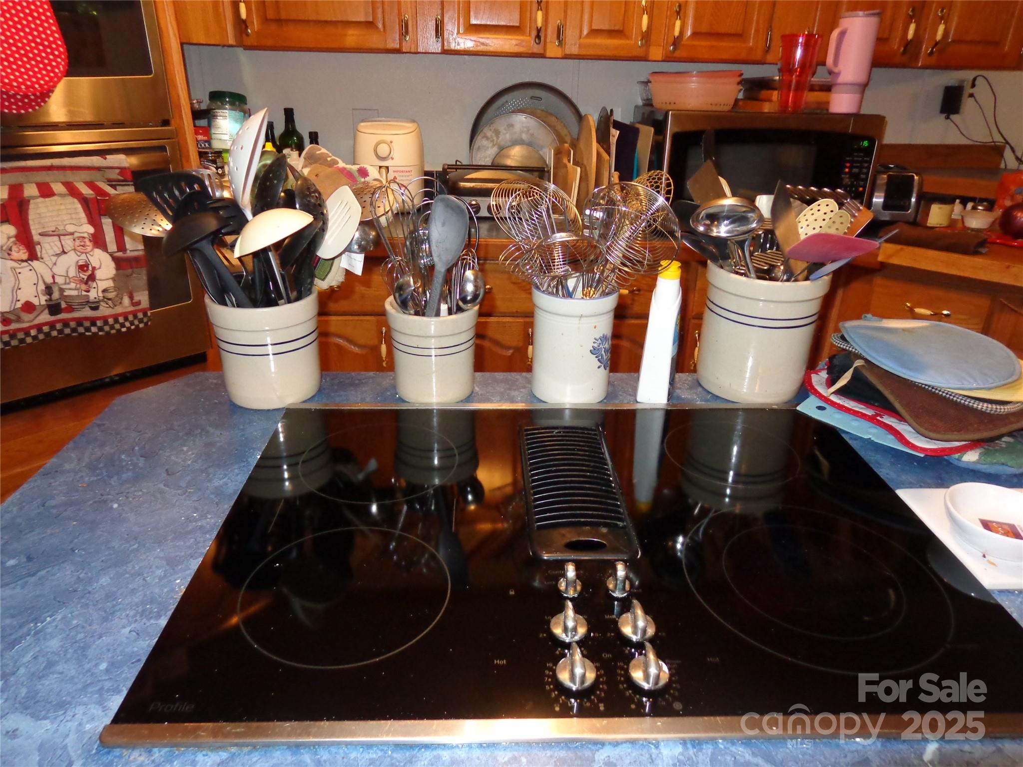 89 Blue Mountain Road Fairview NC 28730