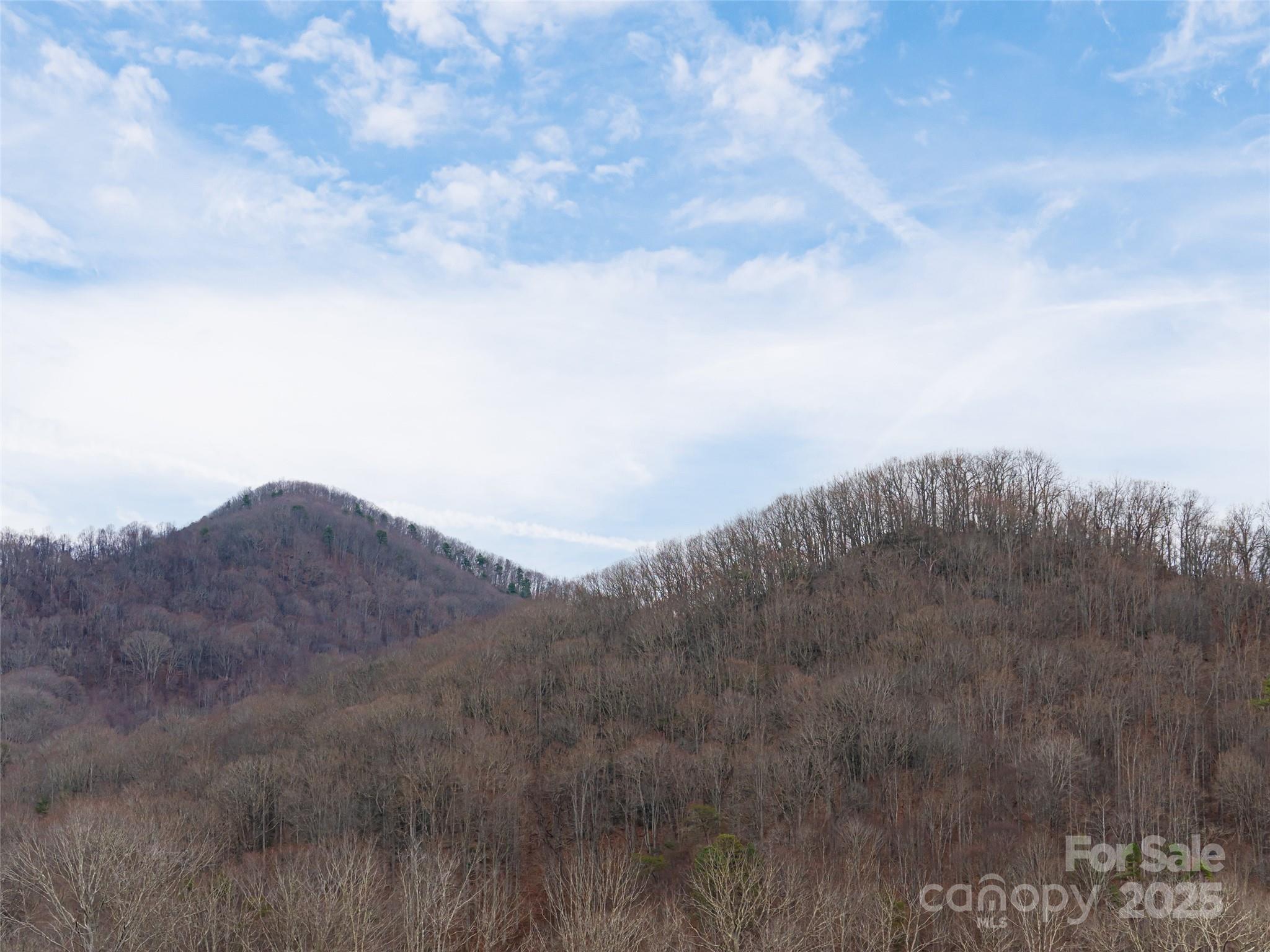 51 Bridgeway Drive Candler NC 28715