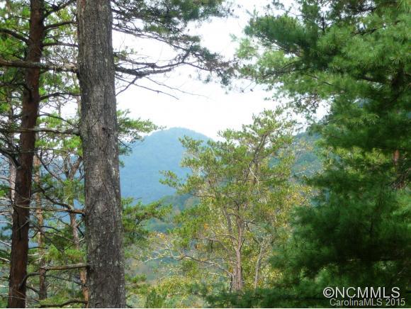 324 Ox Creek Road Weaverville NC 28787